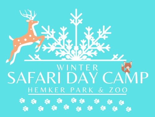 Winter Safari Day Camp